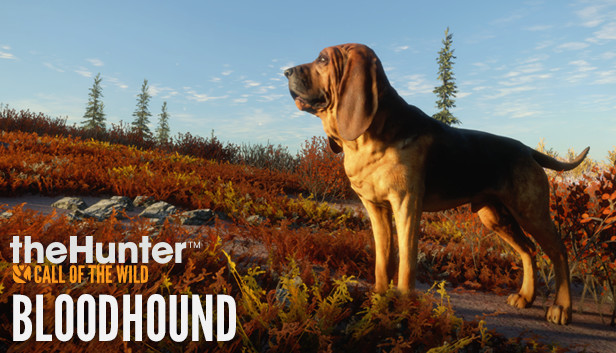 

theHunter: Call of the Wild - Bloodhound