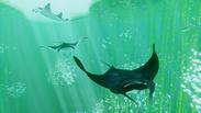 ABZU (Xbox One & Xbox Series X|S) Europe