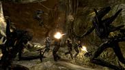 Aliens vs. Predator Collection
