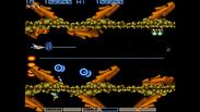 Anniversary Collection Arcade Classics
