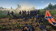 Battle Cry of Freedom