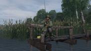 DayZ Livonia