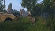 DayZ Livonia