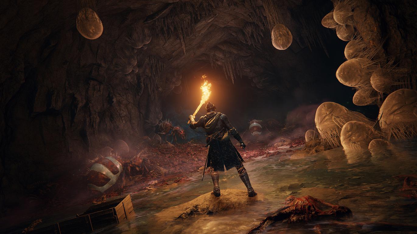 ELDEN RING Deluxe Edition (NA + SA)