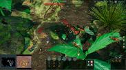 Empires of the Undergrowth