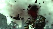 Fallout 3 Game of the Year Edition