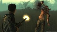 Fallout 3 - Point Lookout