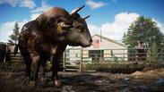 Far Cry 5 (EU)