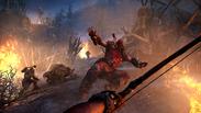 Far Cry® Primal - Apex Edition