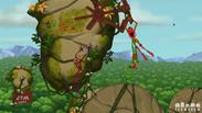 Frog Climbers
