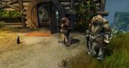 Guild Wars 2 - Janthir Wilds