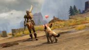 Guild Wars 2 - Janthir Wilds