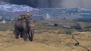 Hearts of Iron IV: Graveyard of Empires - Country Pack