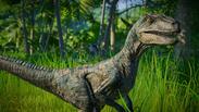Jurassic World Evolution: Raptor Squad Skin Collection
