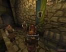 Mount & Blade