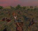 Mount & Blade