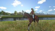 My Little Riding Champion
