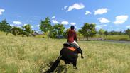 My Little Riding Champion