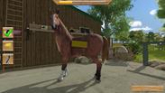 My Little Riding Champion