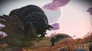 No Man's Sky (Global)