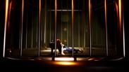 Of Bird and Cage