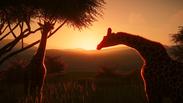 Planet Zoo Deluxe Edition