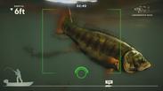 Rapala Fishing: Pro Series (Xbox One & Xbox Series X|S) United States