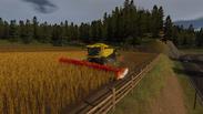 Real Farm