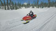 Sledders