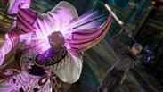 SOULCALIBUR VI (Xbox One & Xbox Series X|S) United States