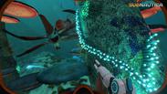 Subnautica (Xbox One & Optimized for Xbox Series X|S & PC) Europe