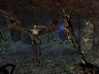 The Elder Scrolls III Morrowind Game of the Year Edition