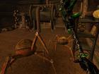 The Elder Scrolls III Morrowind Game of the Year Edition