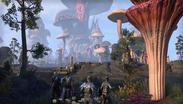 The Elder Scrolls Online - Morrowind (Standard Edition)
