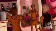 The Sims 3 Ambitions