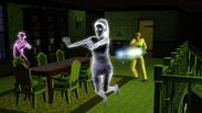 The Sims 3 Ambitions