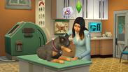 The Sims 4: My First Pet Stuff