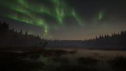 theHunter: Call of the Wild™ - Revontuli Coast