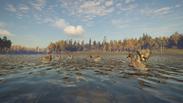 theHunter: Call of the Wild™ - Revontuli Coast