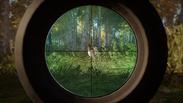 theHunter: Call of the Wild™ - Revontuli Coast