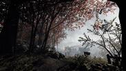 Warhammer: Vermintide 2 - Collector's Edition
