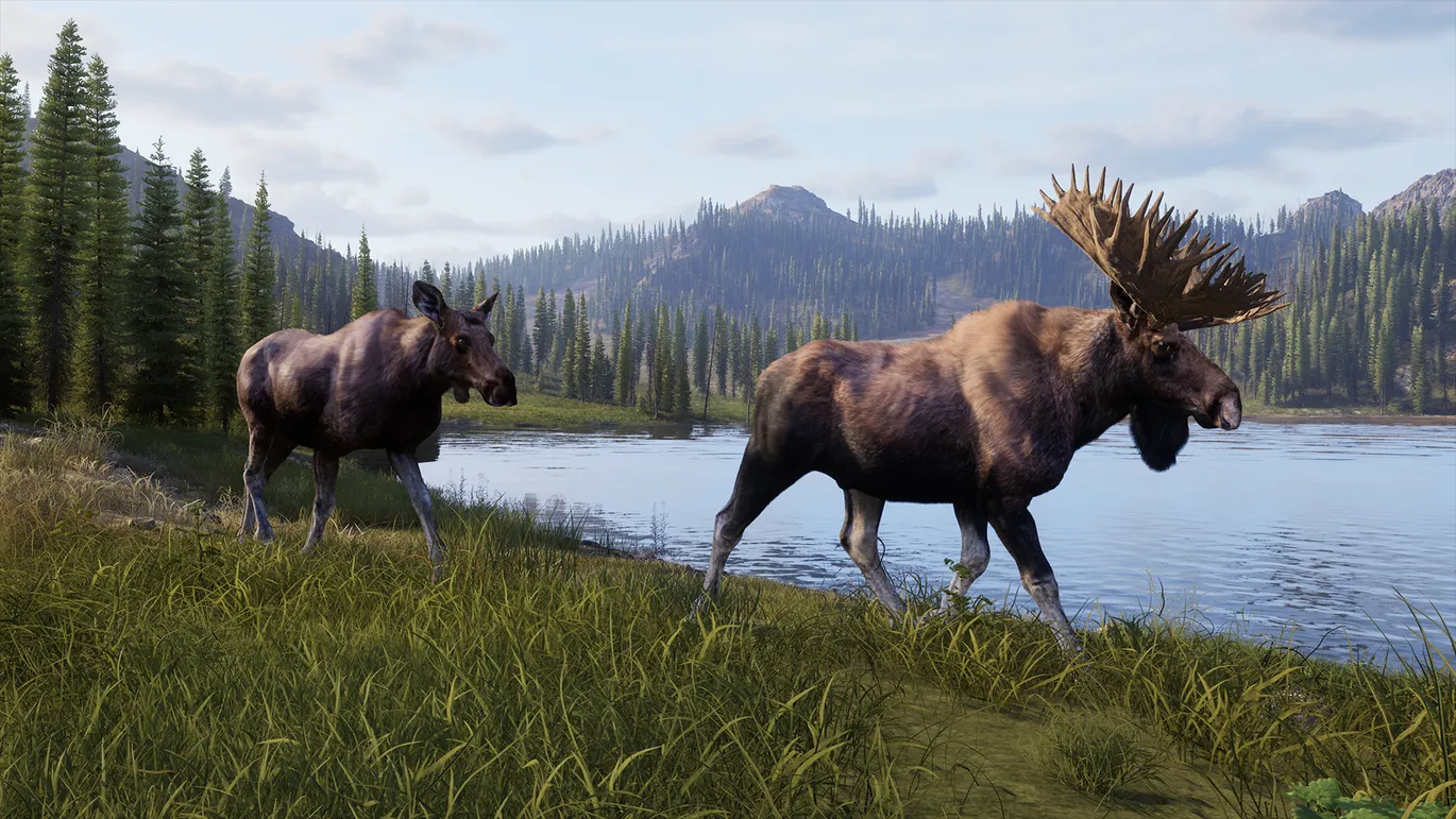 Way of the Hunter 2
