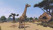 Zoo Tycoon: Ultimate Animal Collection