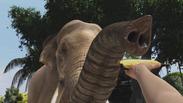 Zoo Tycoon: Ultimate Animal Collection
