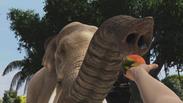 Zoo Tycoon: Ultimate Animal Collection