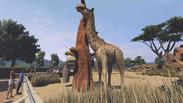 Zoo Tycoon: Ultimate Animal Collection