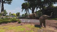 Zoo Tycoon: Ultimate Animal Collection