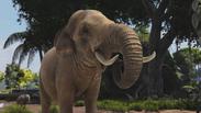 Zoo Tycoon: Ultimate Animal Collection