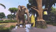 Zoo Tycoon: Ultimate Animal Collection