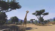 Zoo Tycoon: Ultimate Animal Collection